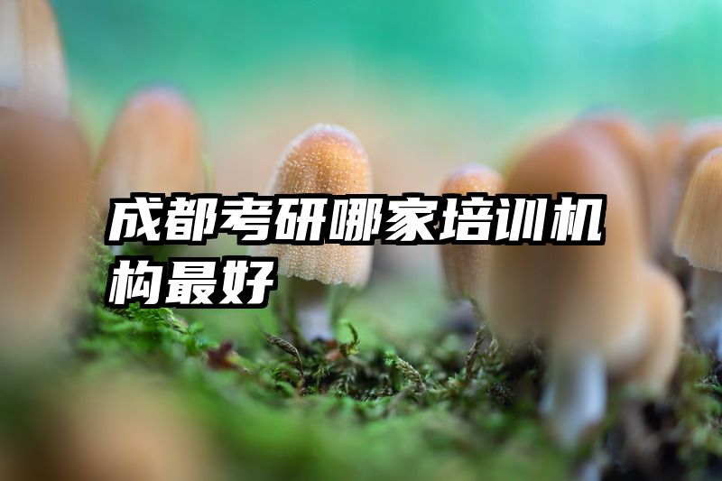 成都考研哪家培训机构最好