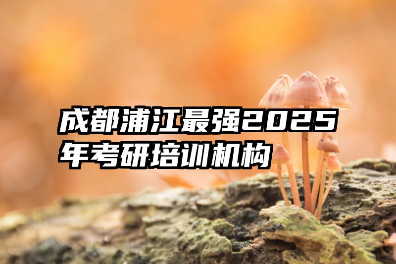 成都浦江最强2025年考研培训机构