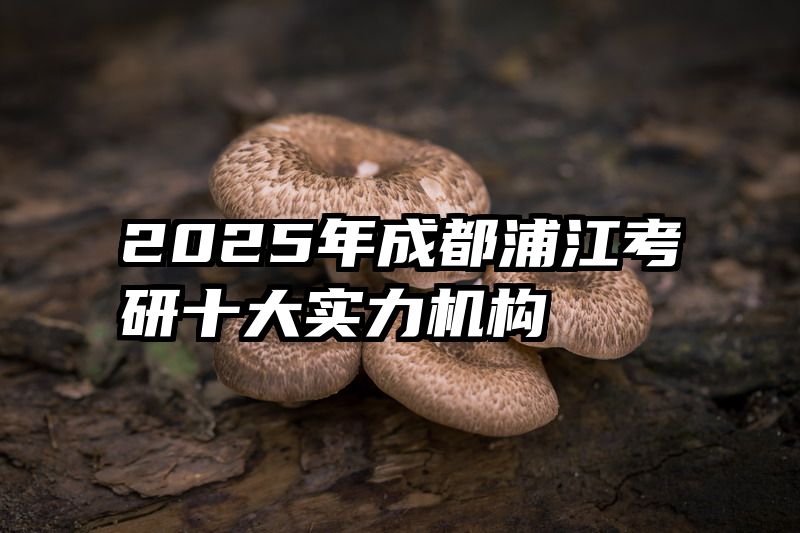 2025年成都浦江考研十大实力机构