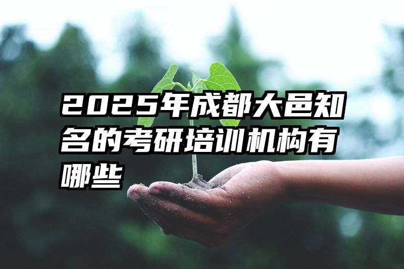 2025年成都大邑知名的考研培训机构有哪些