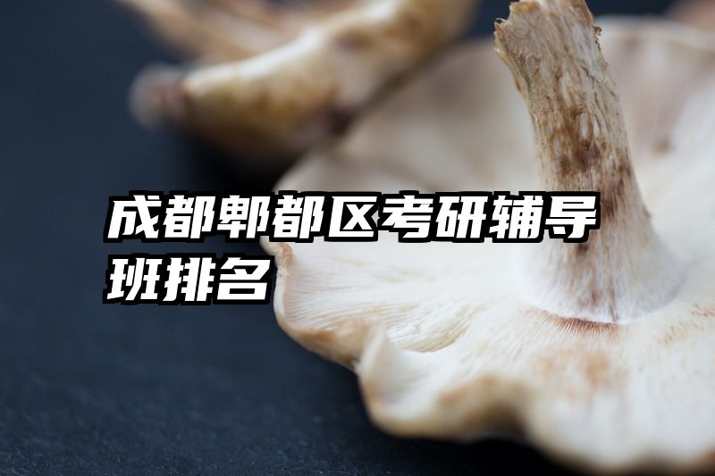 成都郫都区考研辅导班排名
