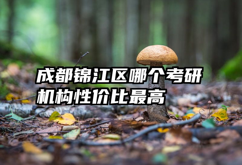 成都锦江区哪个考研机构性价比最高