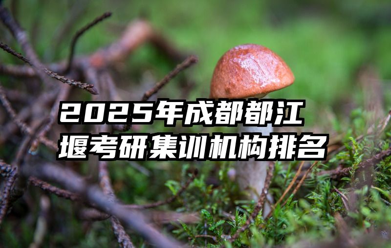 2025年成都都江堰考研集训机构排名