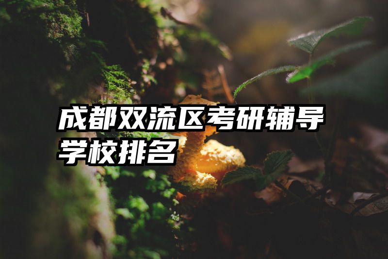 成都双流区考研辅导学校排名