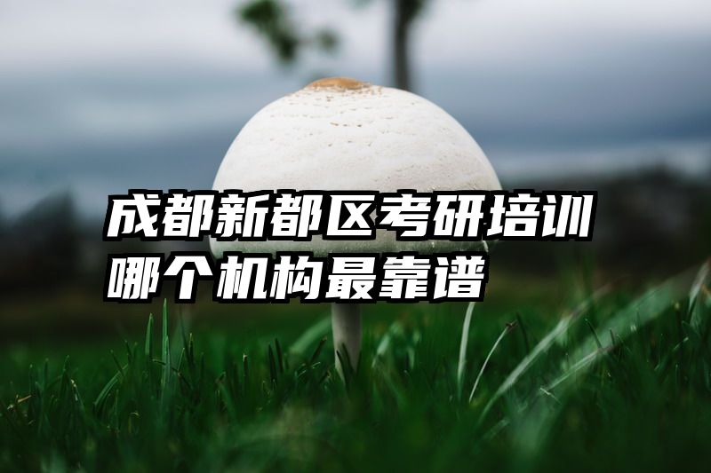 成都新都区考研培训哪个机构最靠谱