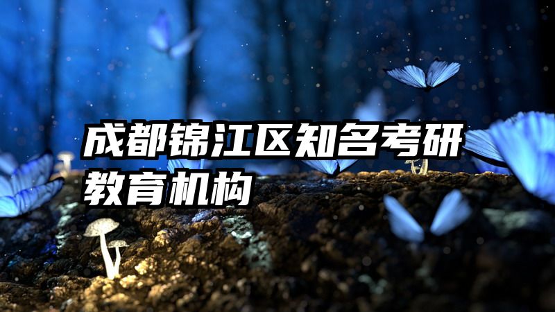 成都锦江区知名考研教育机构