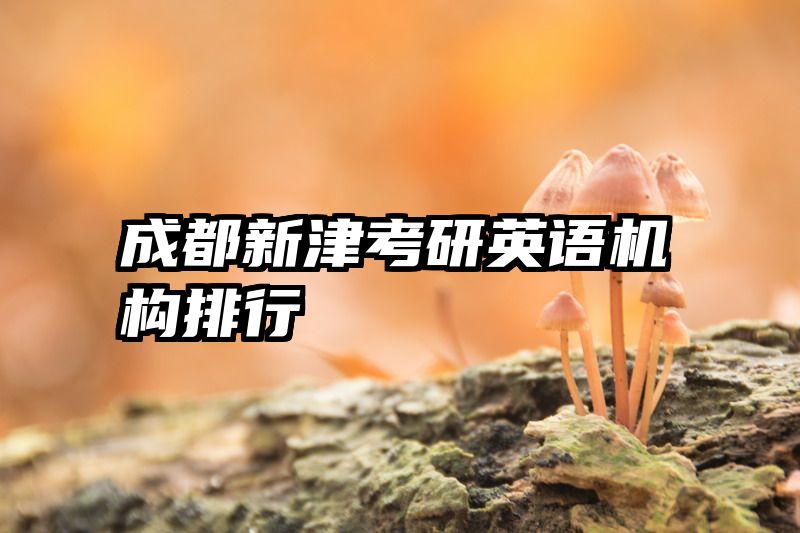 成都新津考研英语机构排行