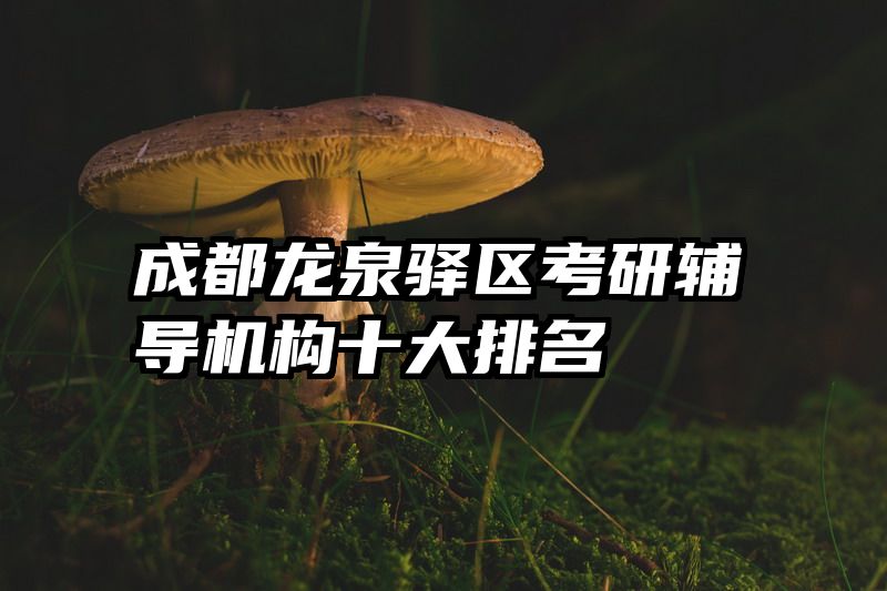 成都龙泉驿区考研辅导机构十大排名