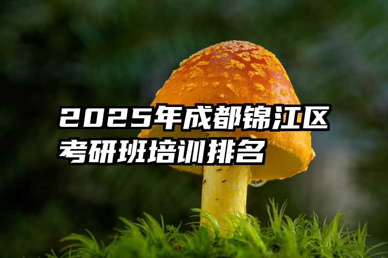 2025年成都锦江区考研班培训排名