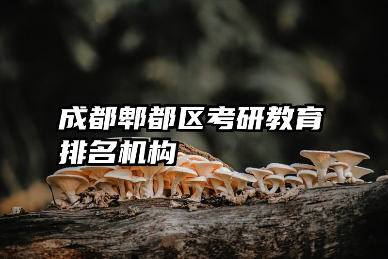 成都郫都区考研教育排名机构