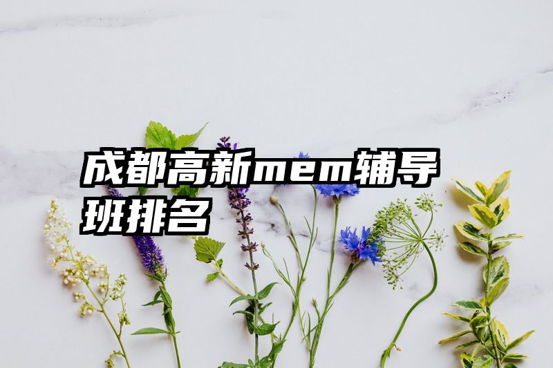 成都高新mem辅导班排名