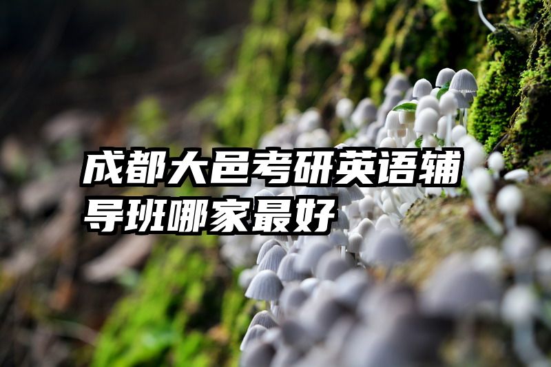 成都大邑考研英语辅导班哪家最好