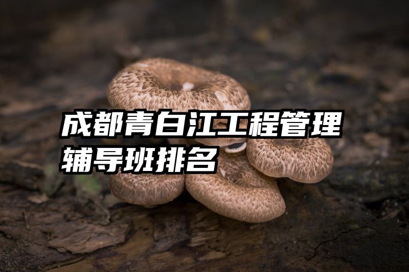 成都青白江工程管理辅导班排名