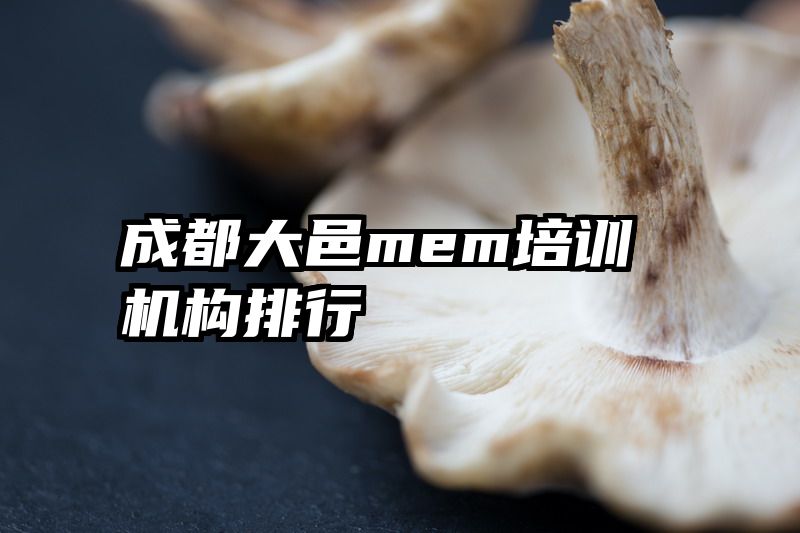 成都大邑mem培训机构排行