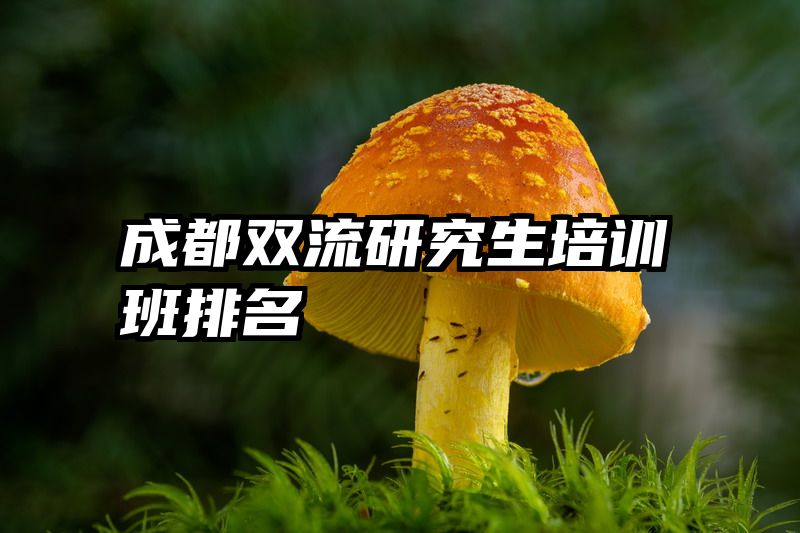 成都双流研究生培训班排名
