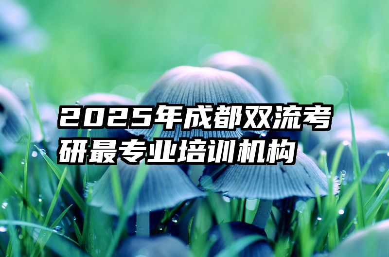 2025年成都双流考研最专业培训机构