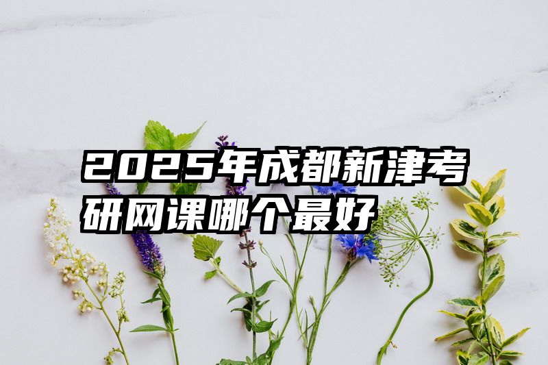 2025年成都新津考研网课哪个最好