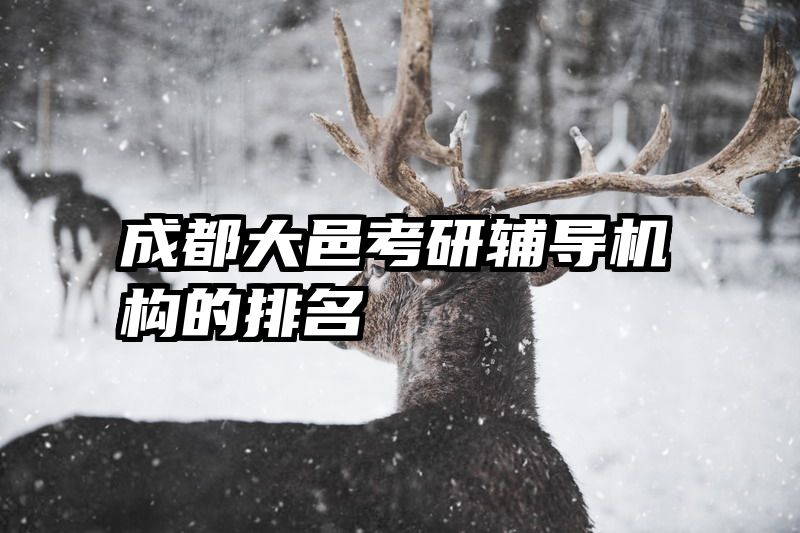 成都大邑考研辅导机构的排名