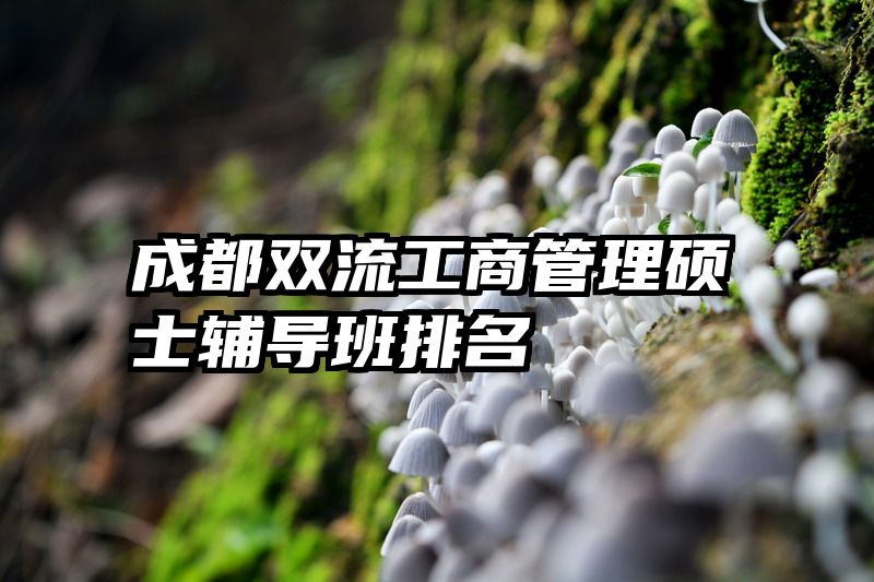 成都双流工商管理硕士辅导班排名