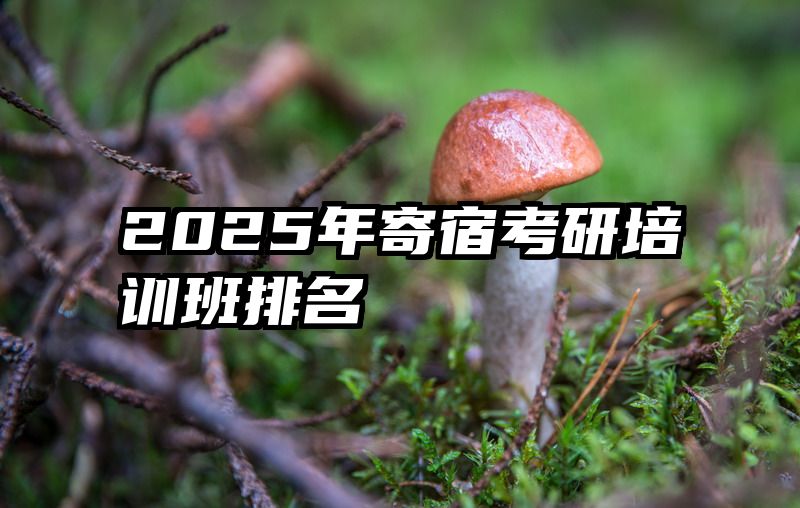 2025年寄宿考研培训班排名