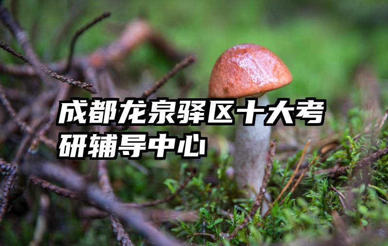 成都龙泉驿区十大考研辅导中心