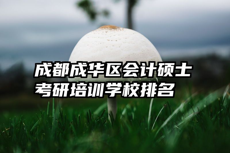 成都成华区会计硕士考研培训学校排名