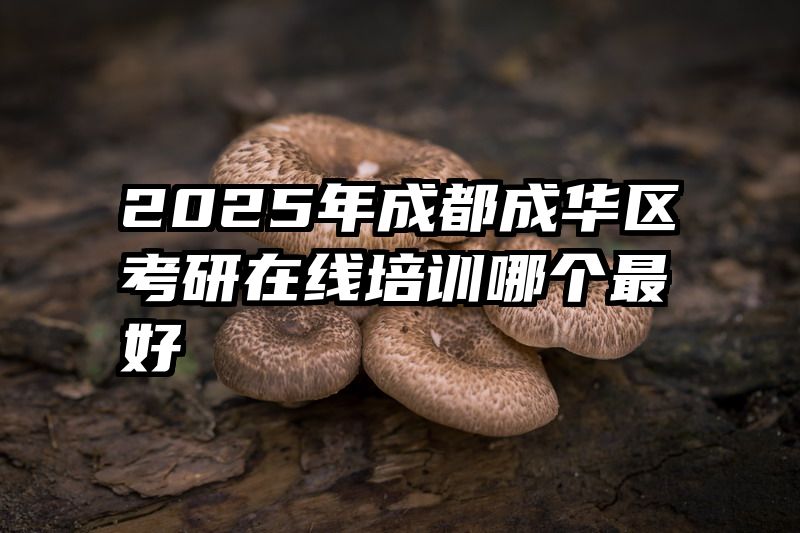 2025年成都成华区考研在线培训哪个最好