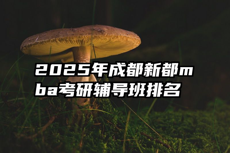 2025年成都新都mba考研辅导班排名