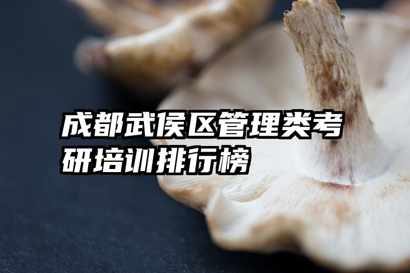 成都武侯区管理类考研培训排行榜