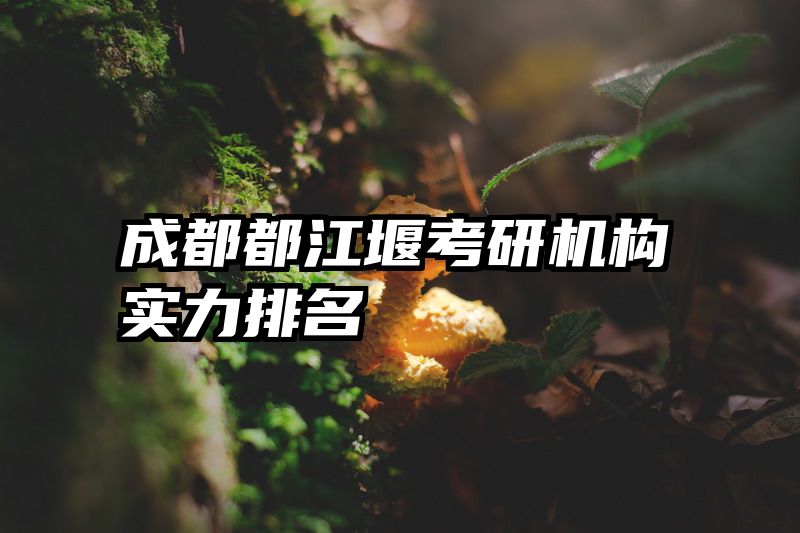 成都都江堰考研机构实力排名