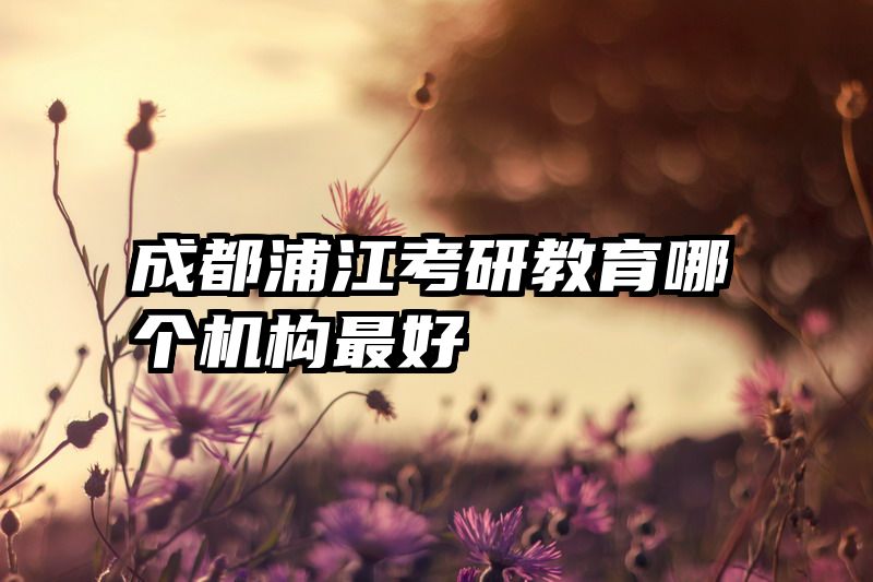成都浦江考研教育哪个机构最好