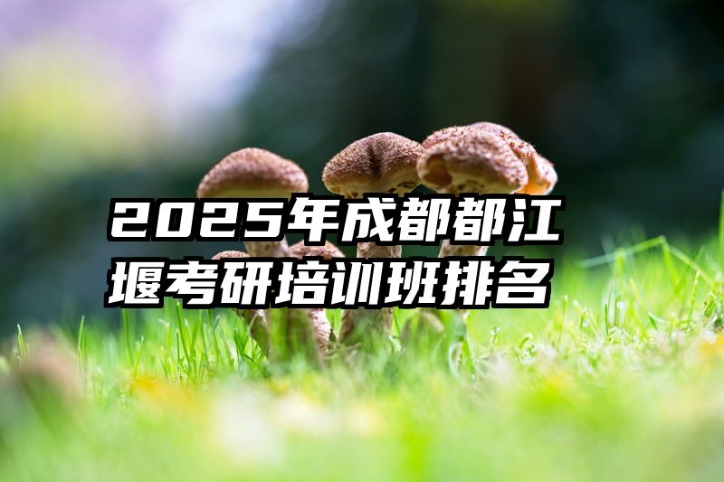2025年成都都江堰考研培训班排名