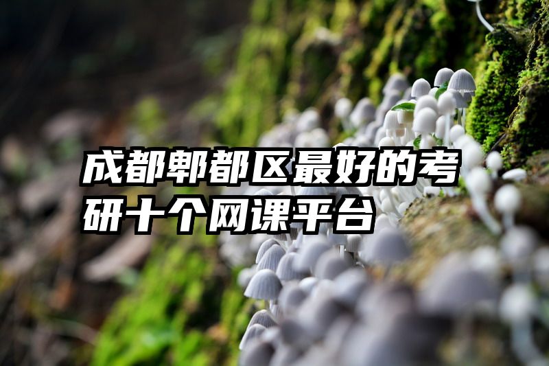 成都郫都区最好的考研十个网课平台