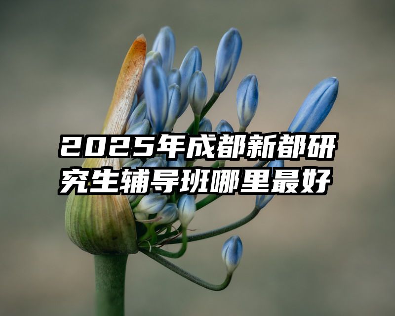 2025年成都新都研究生辅导班哪里最好