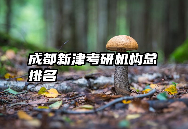 成都新津考研机构总排名