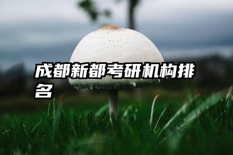 成都新都考研机构排名