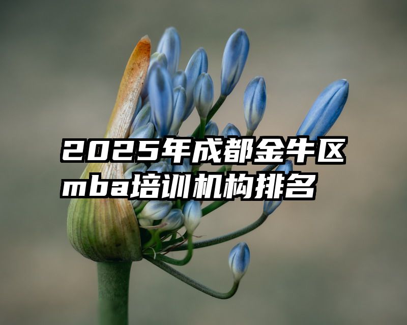 2025年成都金牛区mba培训机构排名