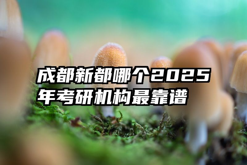 成都新都哪个2025年考研机构最靠谱