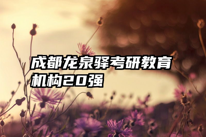 成都龙泉驿考研教育机构20强