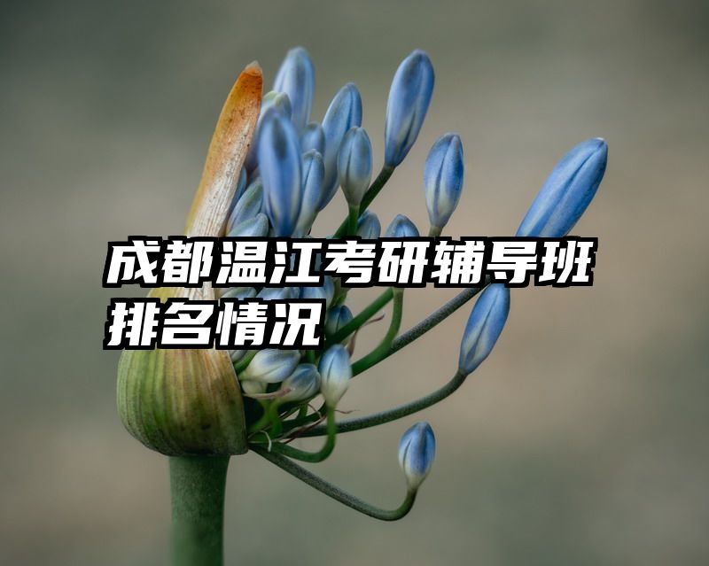 成都温江考研辅导班排名情况