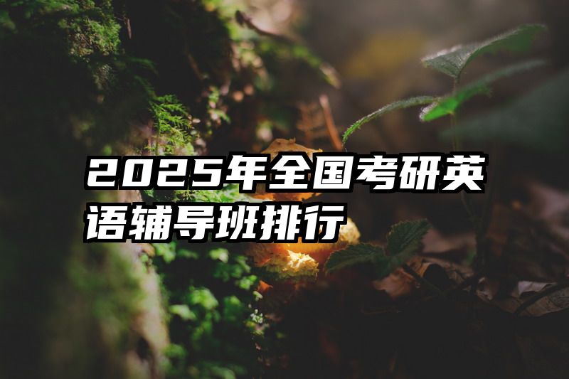 2025年全国考研英语辅导班排行
