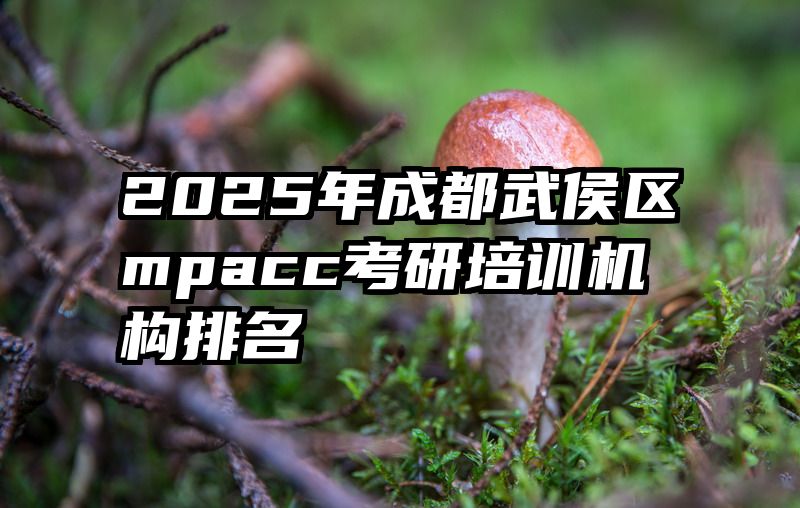2025年成都武侯区mpacc考研培训机构排名