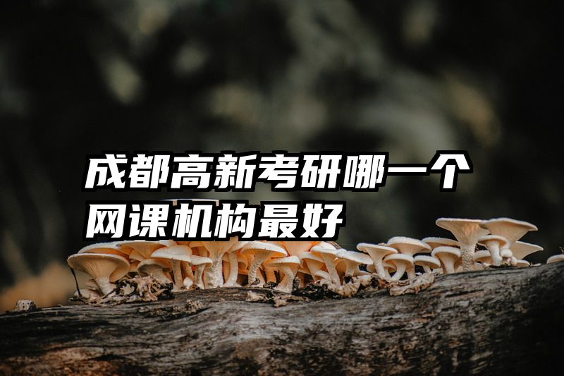 成都高新考研哪一个网课机构最好
