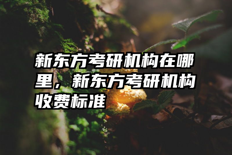 新东方考研机构在哪里，新东方考研机构收费标准