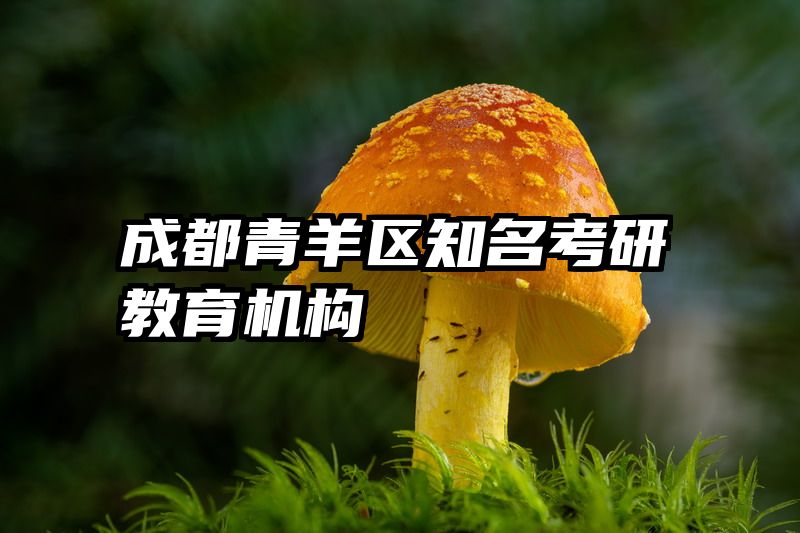 成都青羊区知名考研教育机构