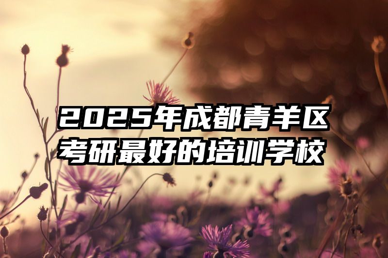 2025年成都青羊区考研最好的培训学校