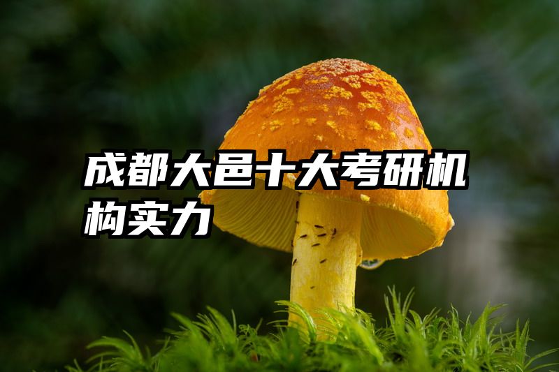 成都大邑十大考研机构实力