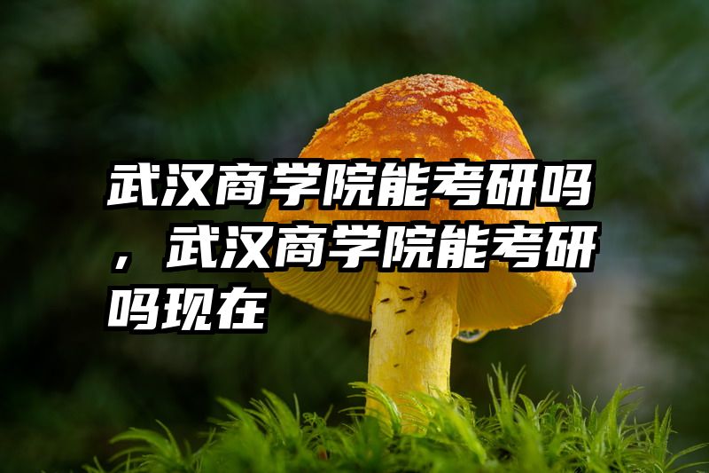 武汉商学院能考研吗，武汉商学院能考研吗现在