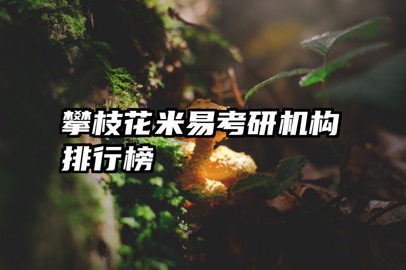 攀枝花米易考研机构排行榜