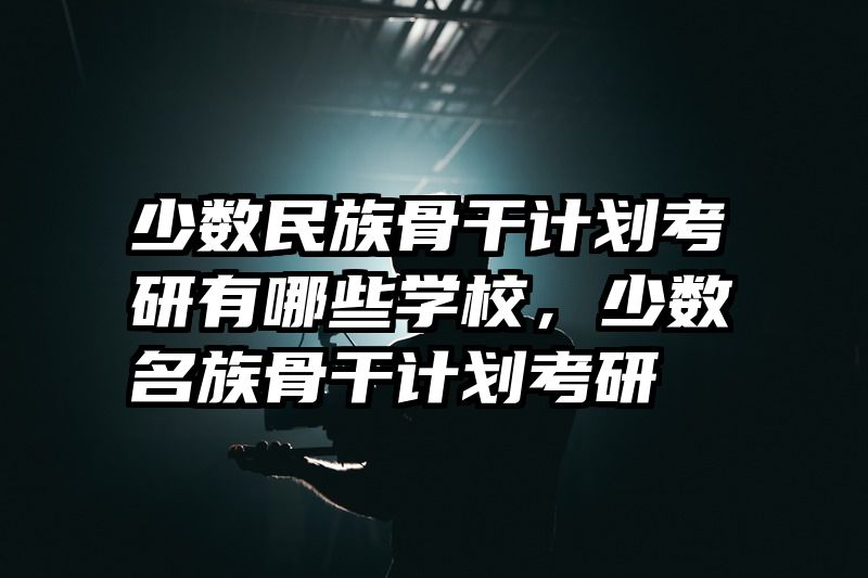 少数民族骨干计划考研有哪些学校，少数名族骨干计划考研